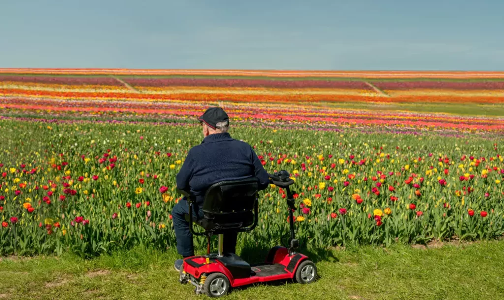 An old man is sitting in a mobility scooter and enjoying the scenery
