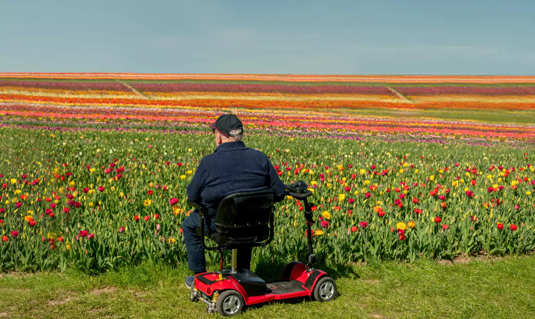 An old man is sitting in a mobility scooter and enjoying the scenery