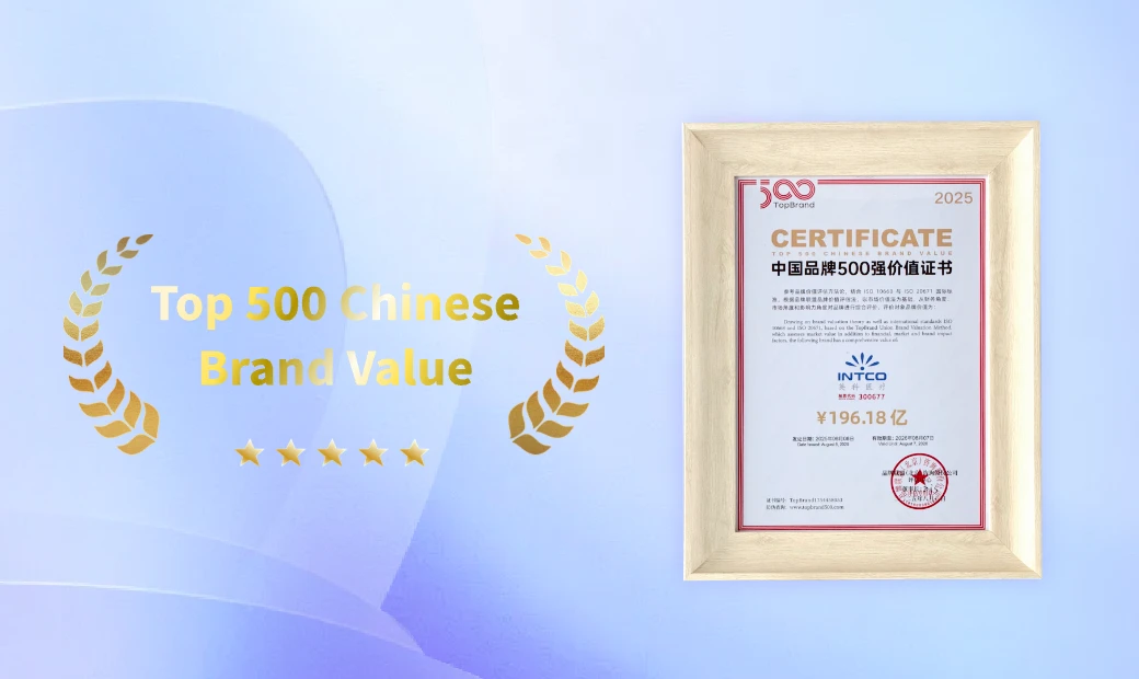 Top 500 Chinese Brand Value