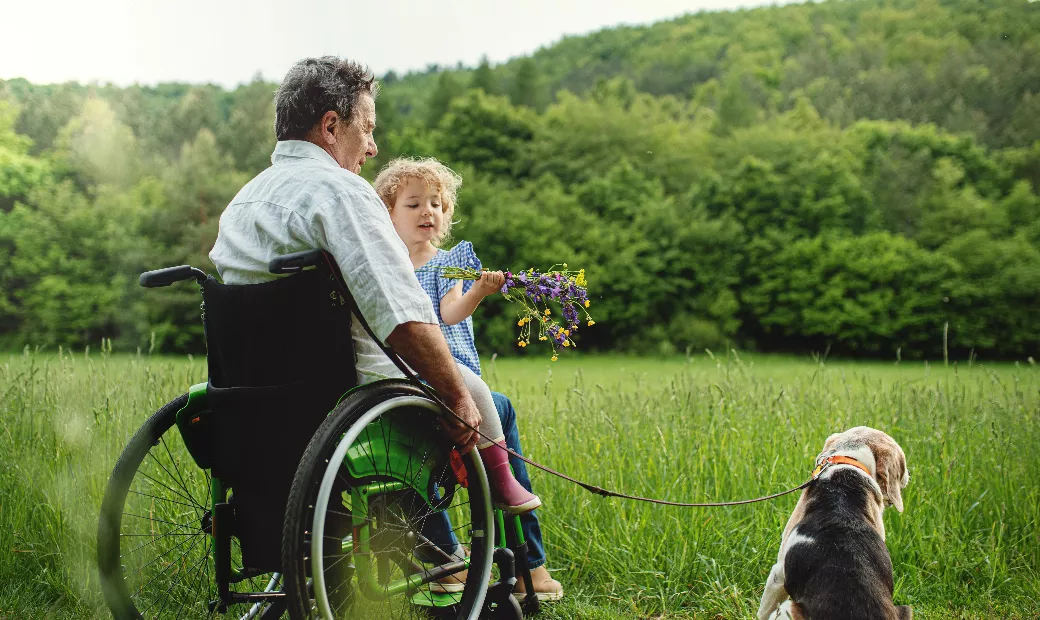 small-girl-with-senior-grandfather-in-wheelchair-and-dog-on-a-walk-on-meadow-in-nature