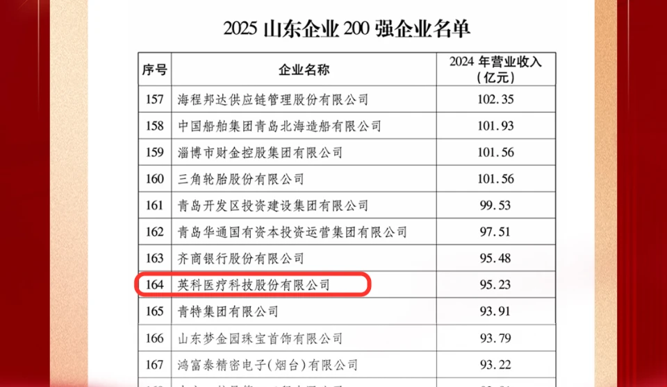 2025 Shandong Top 200 Enterprises